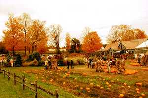 Enjoy The Beauty Of Fall Farm Wallpaper