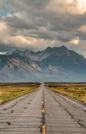 Enjoy The Beauty Of Nature Wallpaper