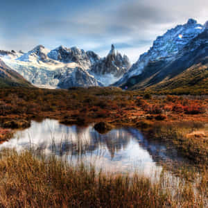 Enjoy The Beauty Of Nature While Connecting With The World Online. Wallpaper