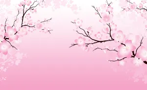 Enjoy The Beauty Of Sakura Blossom In A Peaceful Spring Day Wallpaper