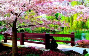 Enjoy The Beauty Of Spring With A New Computer Wallpaper