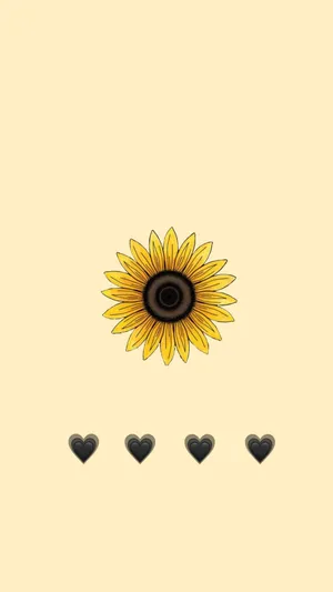 Enjoy The Beauty Of Sunflowers With This Aesthetic Iphone Wallpaper. Wallpaper