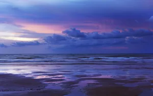 Enjoy The Beauty Of The Purple And Blue Aesthetic. Wallpaper