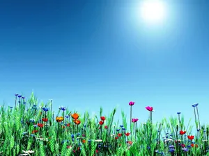 Enjoy The Beauty Of The Season With A Spring Desktop Wallpaper