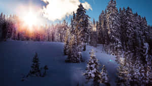 Enjoy The Beauty Of Winter From Your Laptop Wallpaper