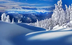Enjoy The Beauty Of Winter In The Countryside Wallpaper