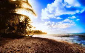 Enjoy The Best Of Summer Days! Wallpaper