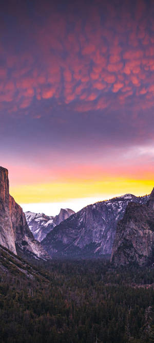 Enjoy The Breathtaking Views At Yosemite National Park On Your Iphone Wallpaper