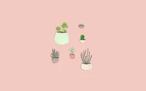 Enjoy The Calming, Inspirational Vibe Of A Pastel Pink Aesthetic Computer. Wallpaper