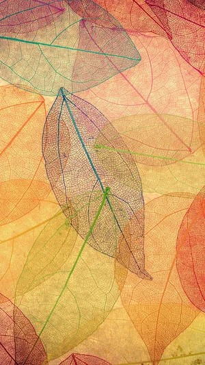 Enjoy The Colors Of Fall With An Iphone 6 Plus Wallpaper
