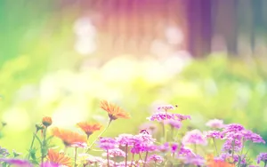 Enjoy The Delightful Heaven Of Nature In Spring Wallpaper