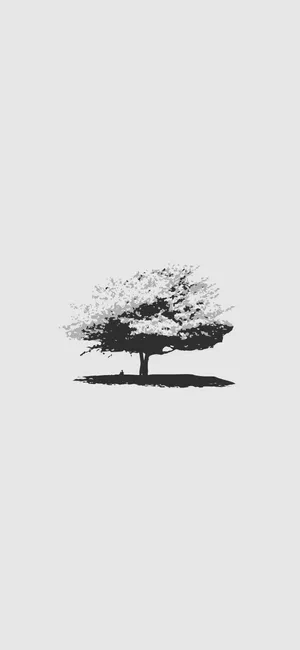 Enjoy The Endless Possibilities With 4k Minimalist Phone Wallpaper