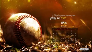 Enjoy The Excitement Of Baseball! Wallpaper