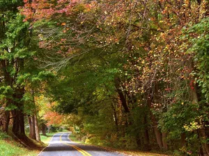 Enjoy The Freshness Of Autumn With Vibrant Colours Wallpaper