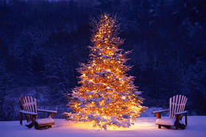 Enjoy The Holiday Season By Admiring The Beautiful Gold Snowy Christmas Tree Wallpaper