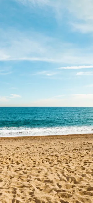 Enjoy The Latest Style With The Trendy Iphone Wallpaper