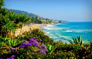 Enjoy The Lush Beauty Of California In Summer. Wallpaper