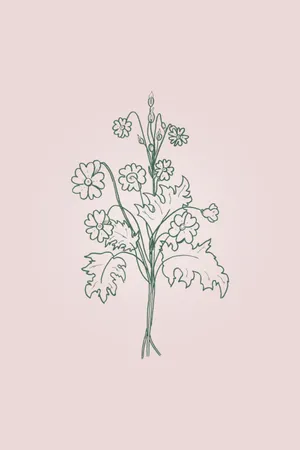 Enjoy The Minimalist Charm Of Spring Wallpaper