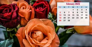 Enjoy The Month Of February With This February Calendar Wallpaper