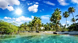 Enjoy The Peaceful Paradise, Take A Sunny Dip In The Crystal Waters Of Mangrove And Coconut Beach. Wallpaper