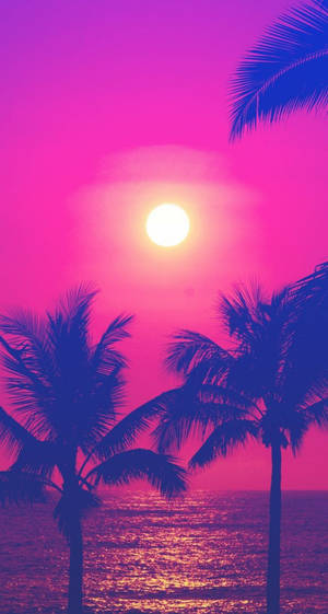 Enjoy The Perfectly Pink Sunset Wallpaper