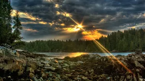 Enjoy The Scenic Beauty Of A Peaceful Rock River Wallpaper