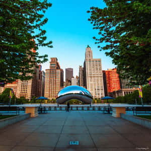 Enjoy The Serenity Of A Beautiful Beach Wallpaper