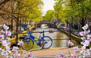 Enjoy The Sights And Sounds Of Amsterdam In The Spring. Wallpaper