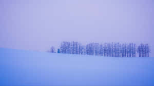 Enjoy The Simple Beauty Of A Minimalist Winter Wallpaper