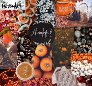 Enjoy The Splendid Colors Of Autumn Wallpaper