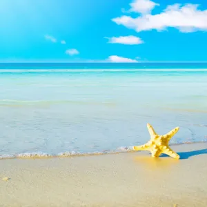 Enjoy The Summer Sun With This Stylish Ipad Wallpaper