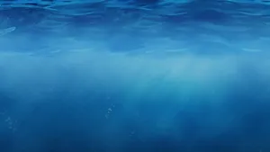 Enjoy The Surf With Your Water-sealed Ipad Wallpaper