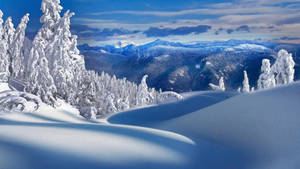 Enjoy The Winter Snowfall Wallpaper