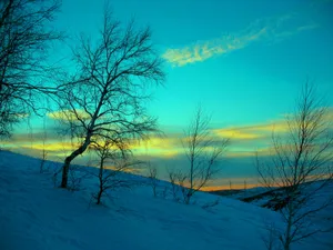 Enjoy The Winter Wonderland Wallpaper