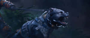 Enjoy This Stunning 3440x1440 Hd Wallaper Wallpaper