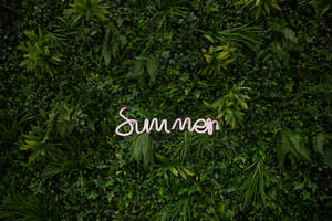 Enjoy This Summer! Wallpaper