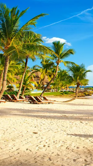 Enjoy White Sand And Crystal Blue Waters During Your Summer Beach Getaway With Your Iphone Wallpaper