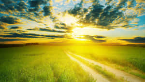 Enjoying A Beautiful Sun Soaked Day. Wallpaper