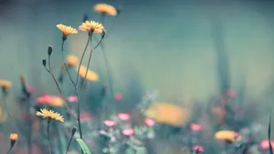 Enjoying A Breezy Spring Day Wallpaper