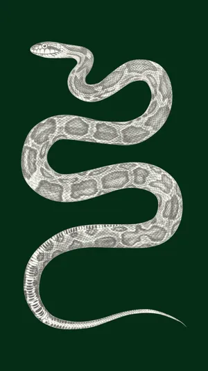 Enjoying A Night Of Star Gazing, This Adorable Slytherin Is Sure To Enchant. Wallpaper