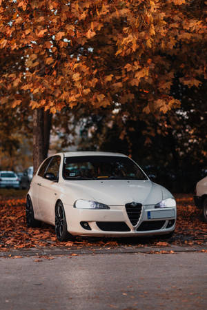 Enjoying Autumn With An Alfa Romeo 147 Wallpaper