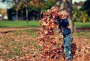 Enjoying Fall's Colorful Beauty Wallpaper