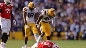 Enjoying The Achievements Of A Great Season Of Lsu Football Wallpaper