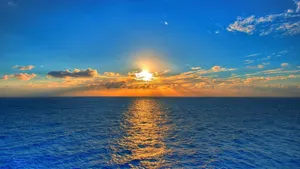 Enjoying The Beautiful Sunshine Wallpaper