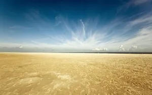 Enjoying The Beauty Of Nature In The Desert Wallpaper