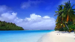 Enjoying The Breathtaking View Of A Caribbean Beach. Wallpaper