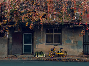 Enjoying The Fall Leaves With A Yellow City Bike Wallpaper