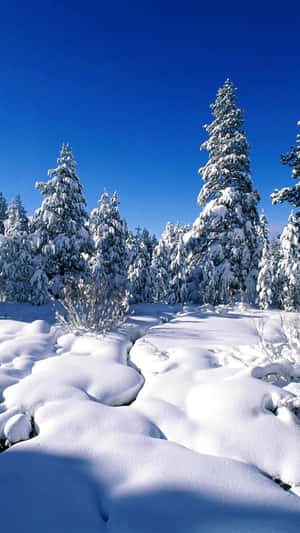 Enjoying The Incredible Views Of New Hampshire Winter Wallpaper