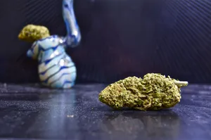 Enjoying The Plant In Peace. Wallpaper