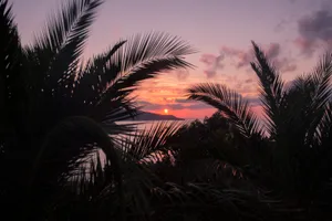 Enjoying The Sunset On A Secluded And Aesthetic Beach Wallpaper